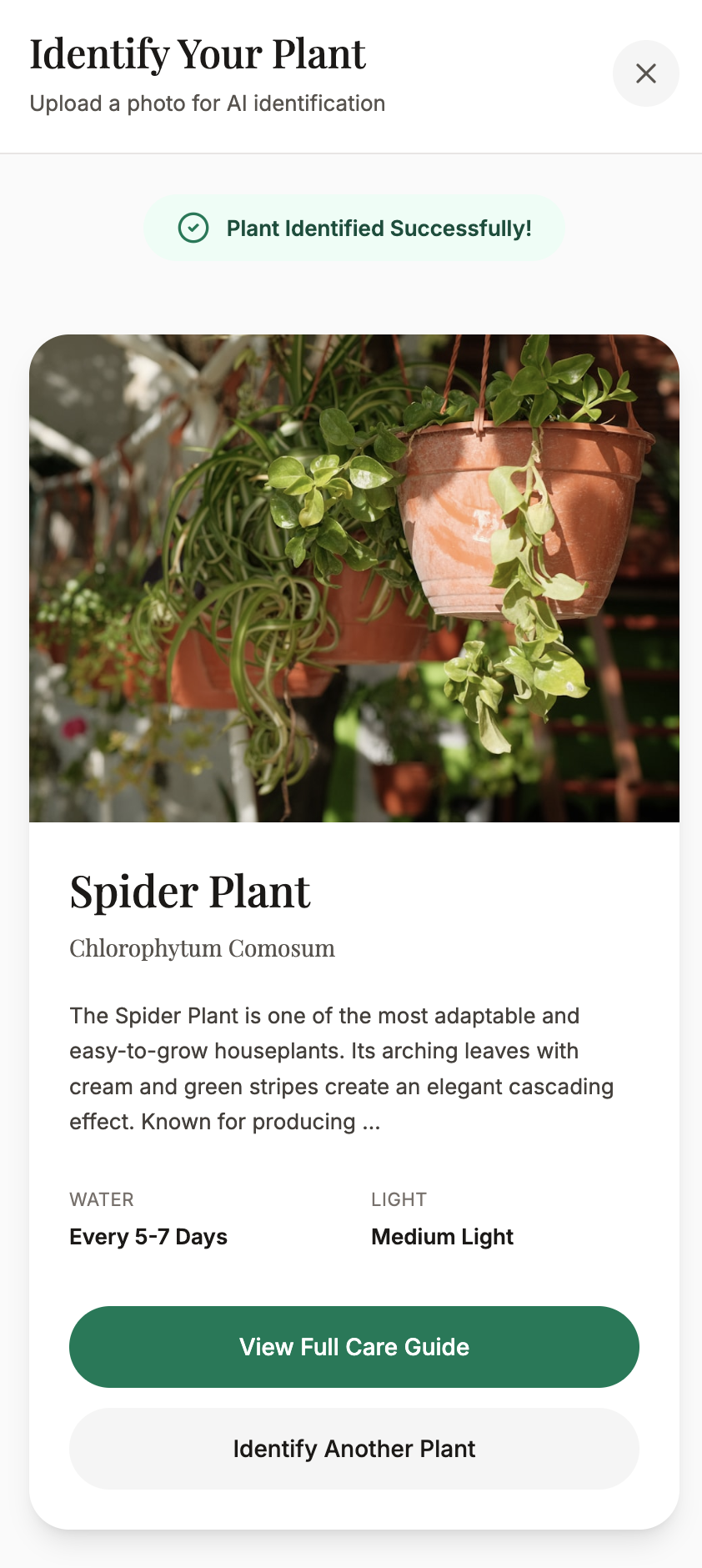 PlantPal identified result screen